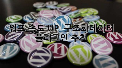 워프 속도 UP! ✨ 구조화데이터 플러그인 추천